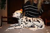 BAIN - DALMATIEN 050